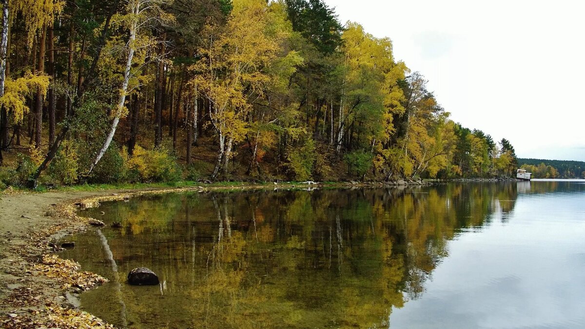     Источник: upload.wikimedia.org