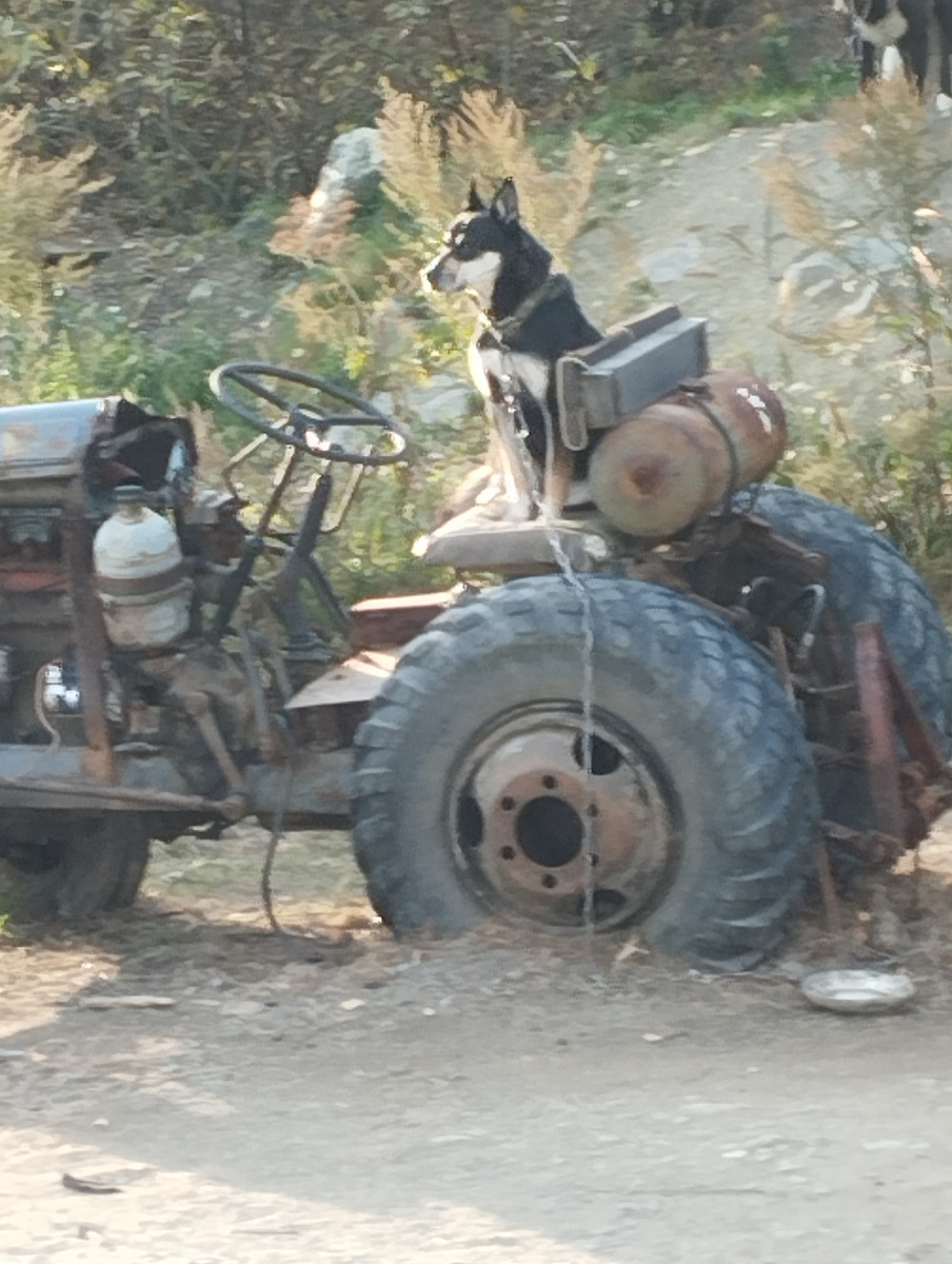 Небольшое сравнение 😄