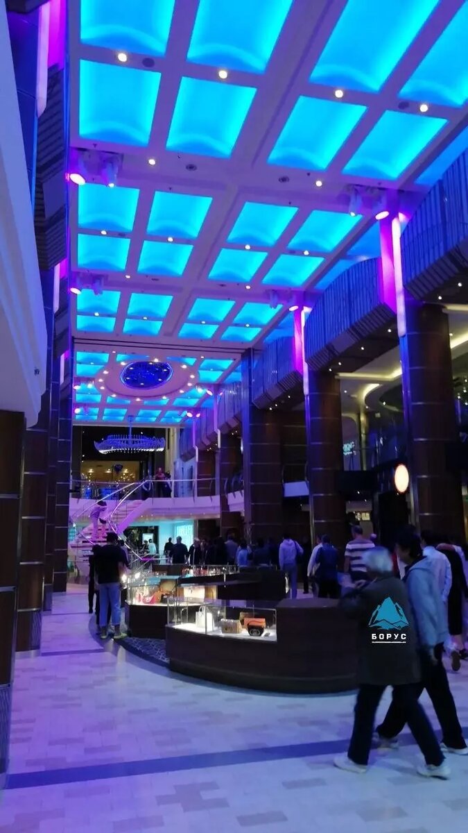     Источник: Борус