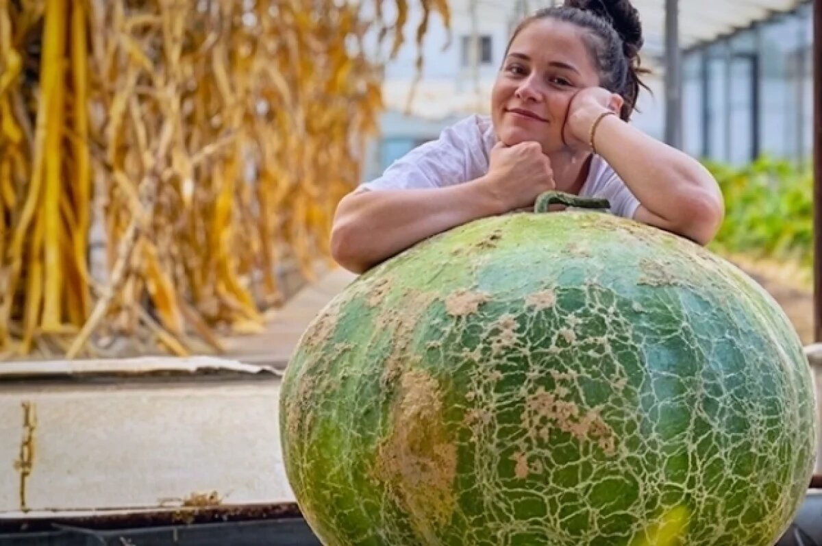    Жительница Кубани вырастила самую тяжелую тыкву «Лагенария Бушель»