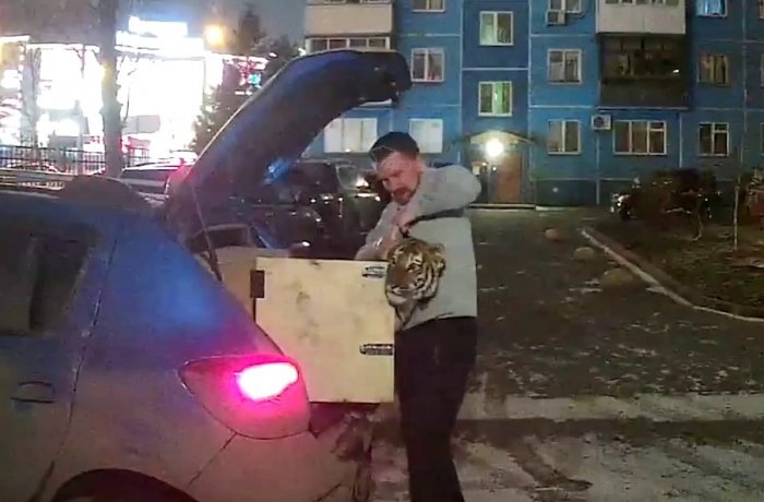 Кадр из видео АСТ-54