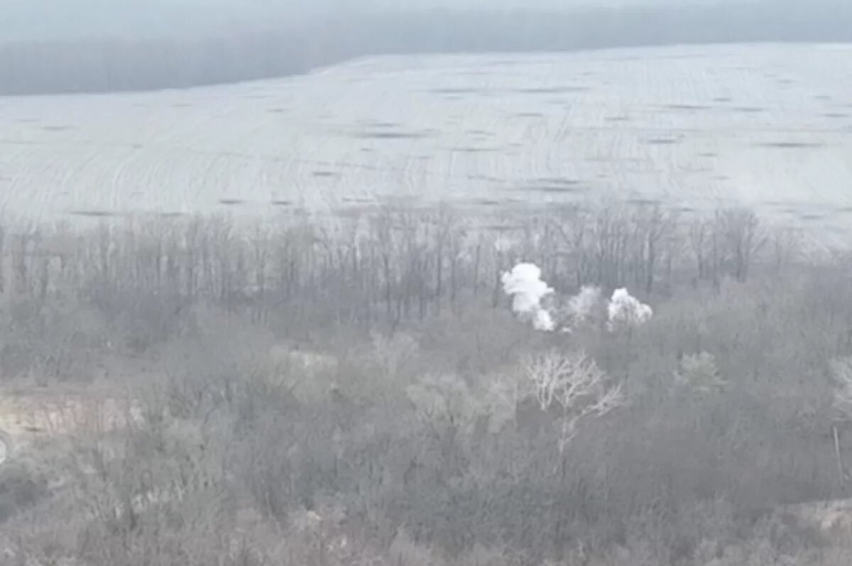    Мобилизованных украинцев конвоировали на позиции ВСУ у Сватова