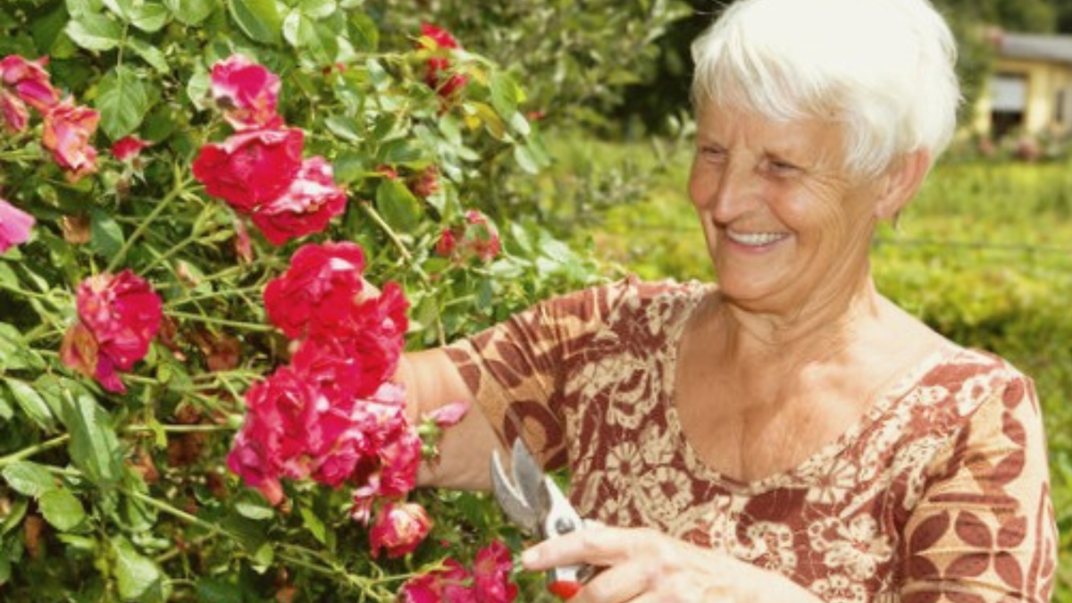 Растения они ведь всё чувствуют! Они чувствуют любите вы их или нет и отвечают взаимностью.