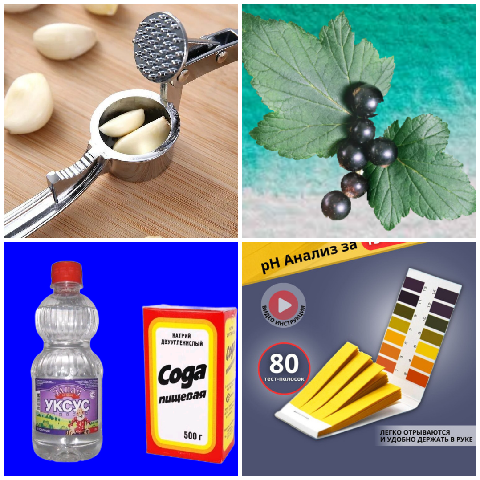 Способы определения кислотности почвы 