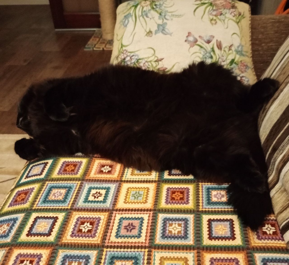 Не для тебя я пузико растил