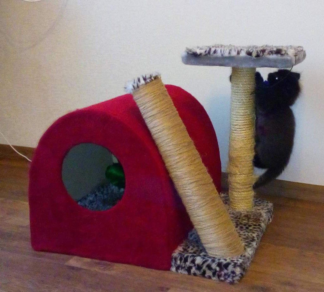 Первый дом Тимофея