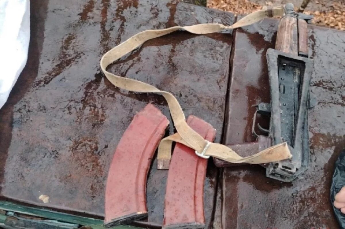    Оружие, патроны и наркотики нашли на пасеке в Хабаровском крае