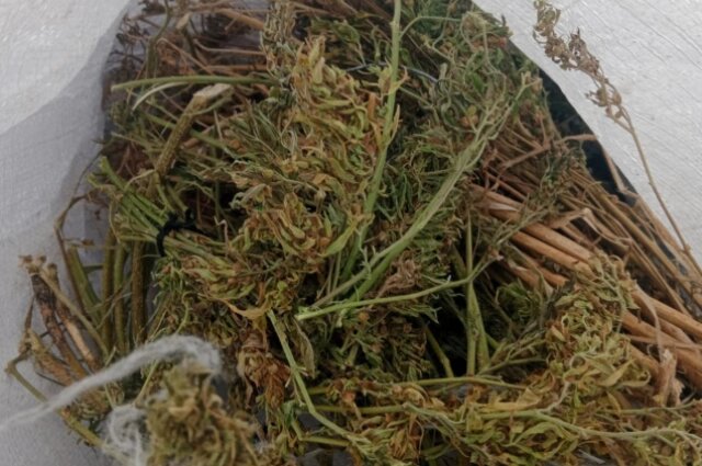    Улики Фото: пресс-служба УМВД России по Хабаровскому краю