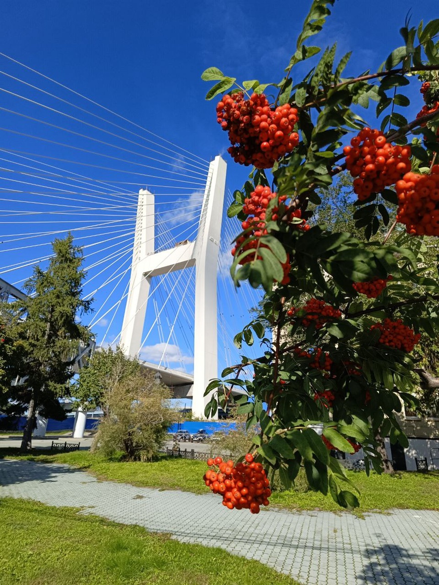 Новый мост в Новосибирске по форме напоминает букву Н