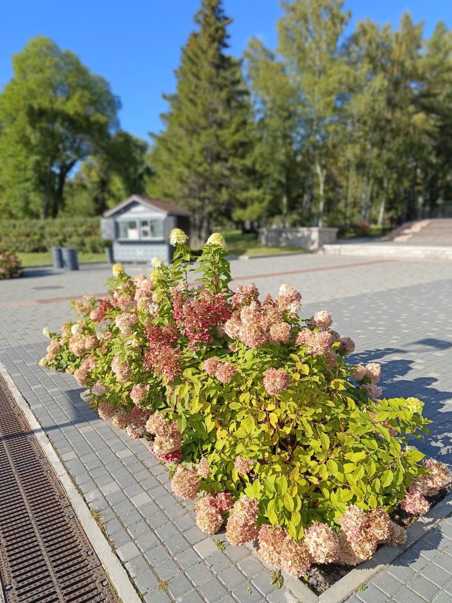 Михайловская набережная