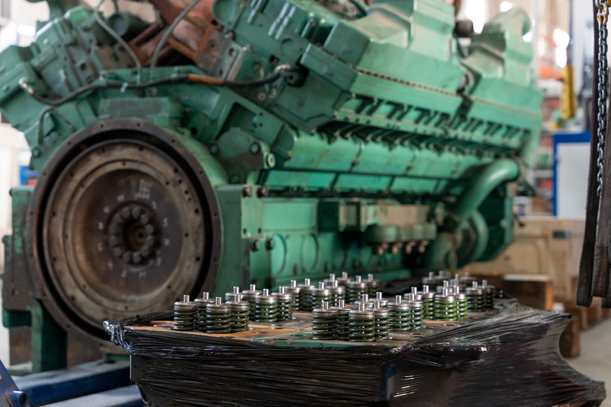 Фото: ООО РОДВИГ 