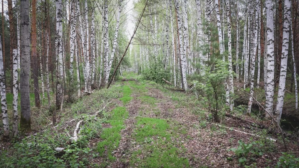     Автор: Артем Шершнев Источник: atas.info