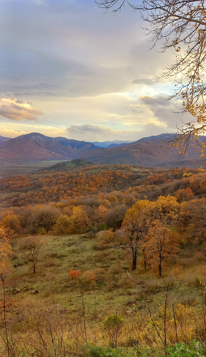 Лаго-Наки, Адыгея (ноябрь, 2024г)