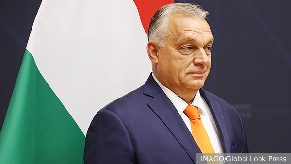     Фото: IMAGO/Global Look Press   
 Текст: Максим Попов