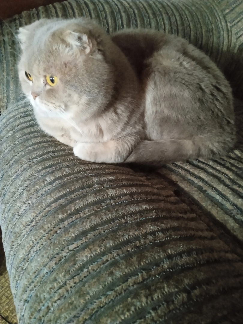 иллюстрация из яндекс картинки.