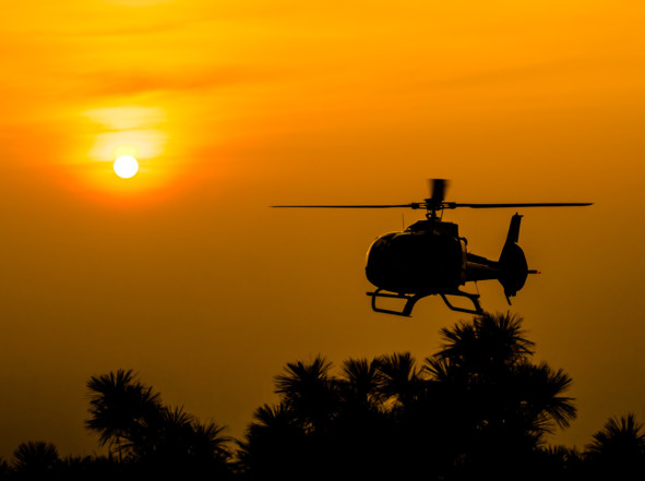 Из электронной книги