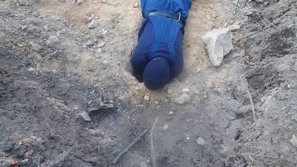     Источник: Соцсети