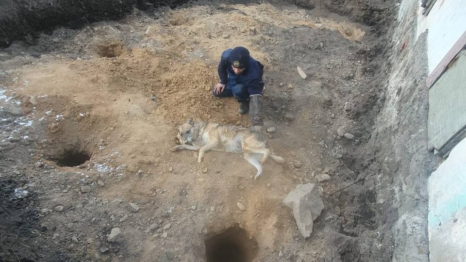     Источник: Соцсети