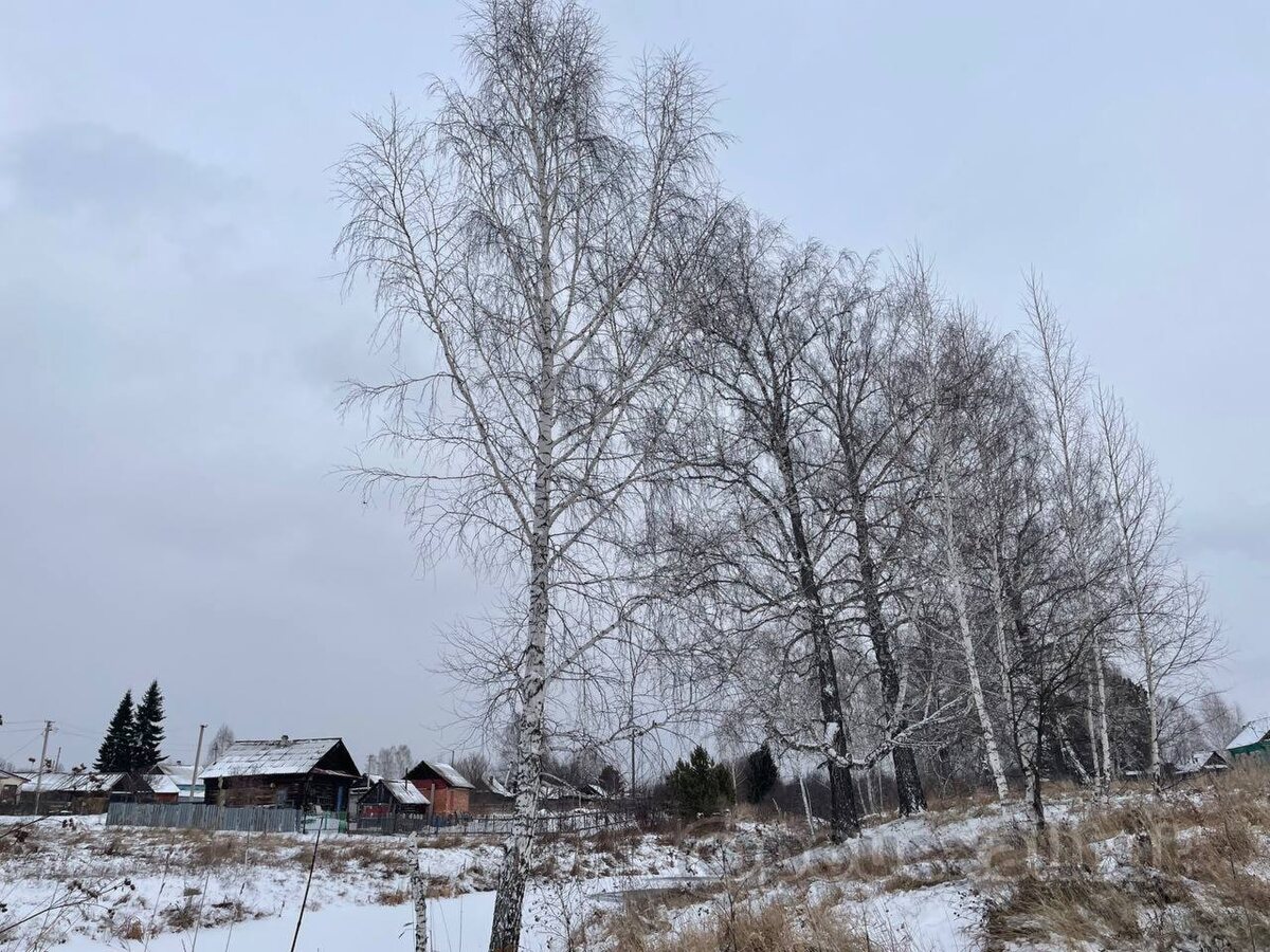 Наша деревня, ноябрь 2024