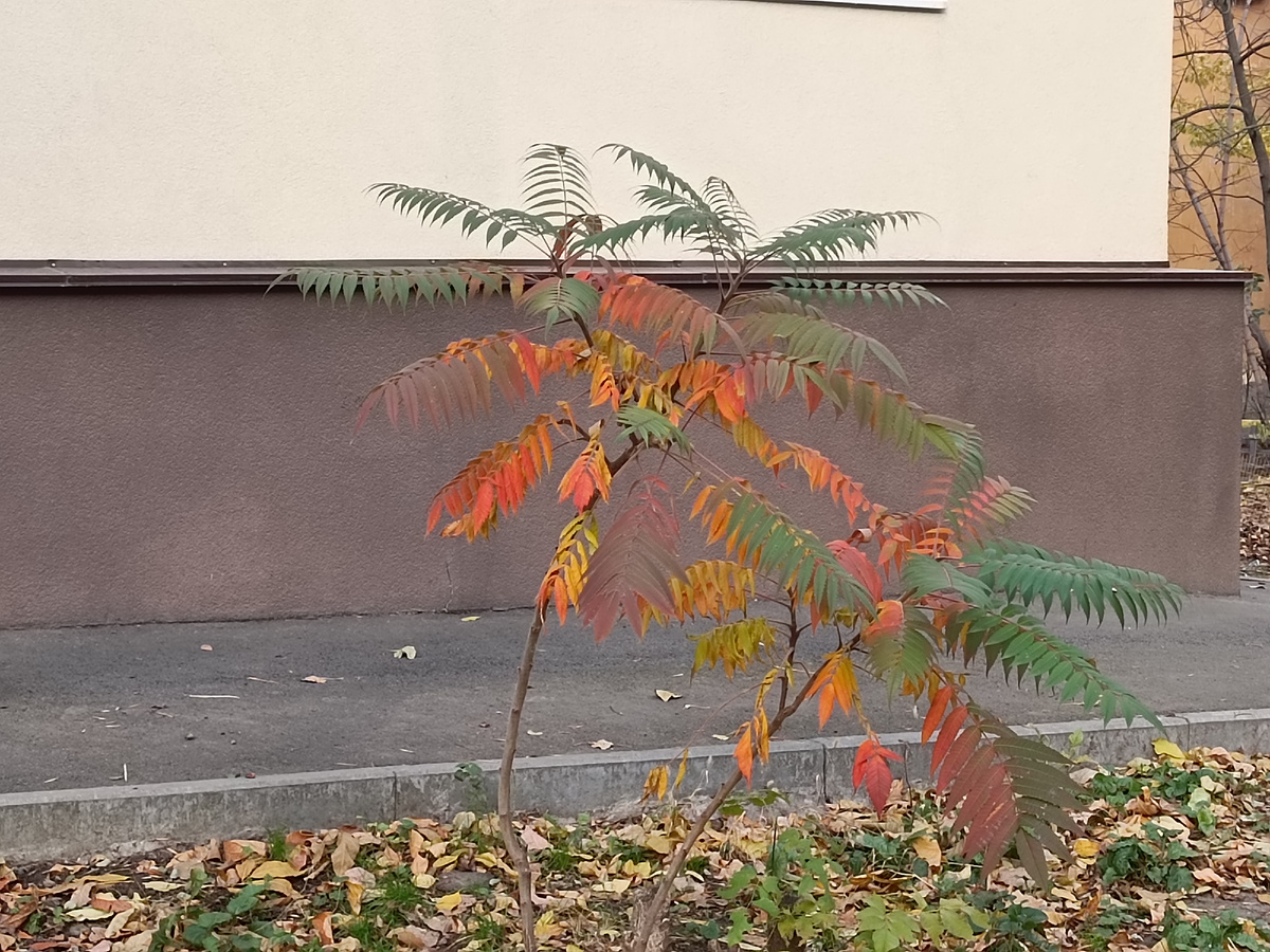 Маленький ещё. 