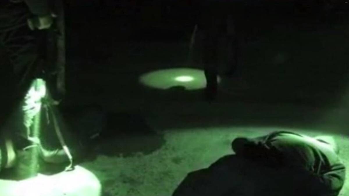    Фото: Скриншот видео РИА Новости