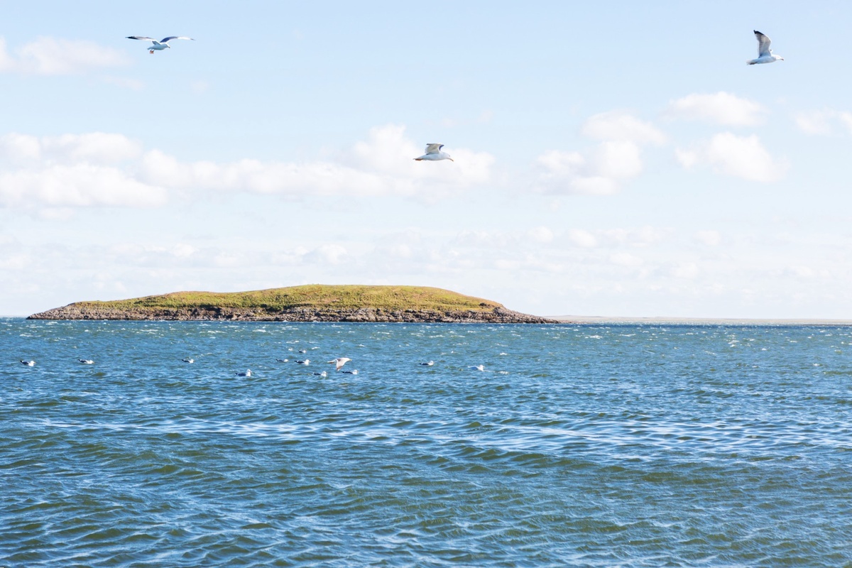 Река Пясина. Большой Арктический заповедник