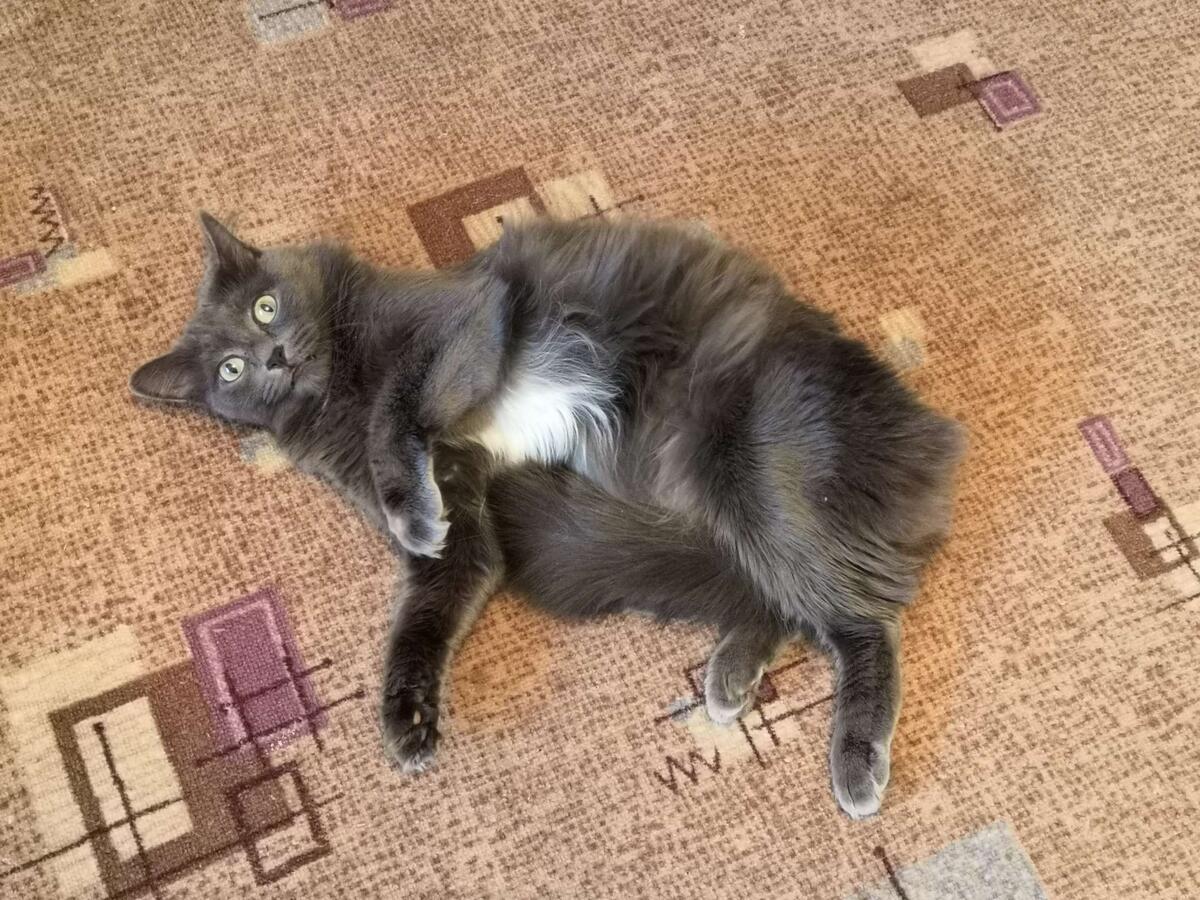 Прынц, ты хде? - как бы говорит её вид.