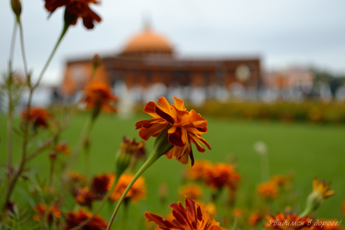 Парк Новосибирского Крематория, на территории которого расположен Музей