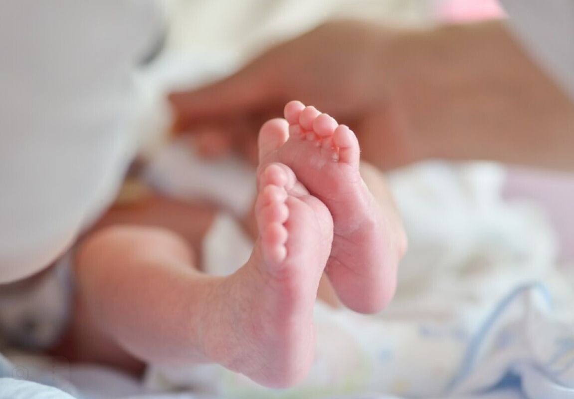 Фото: ru.freepik.com \