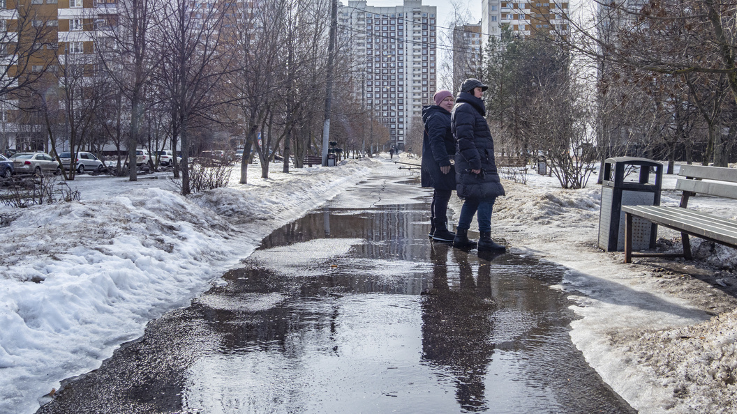    Фото: Konstantin Kokoshkin/Globallookpress.