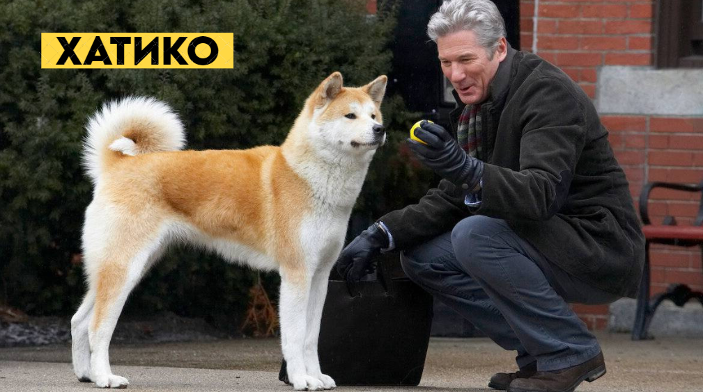"Хатико: Самый верный друг" - ремейк одноимённого японского фильма, покоривший сердца зрителей по всему миру!