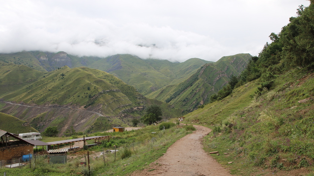    Фото: Maksim Konstantinov/Globallookpress