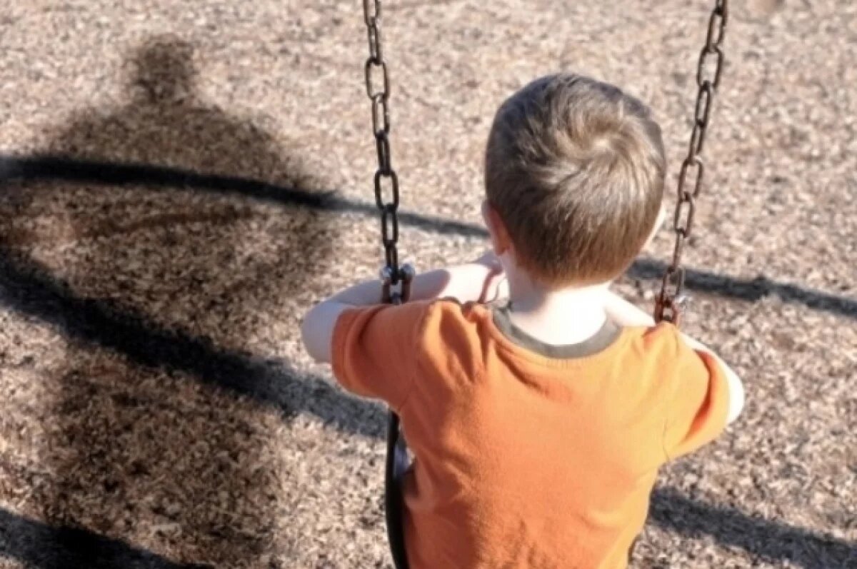    В Улан-Удэ на одном из аттракционов обнаружили неисправность тормозной системы.