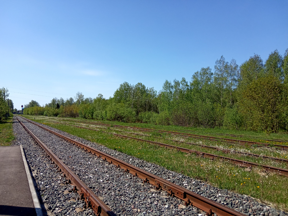 Вид в сторону пос. Рязановский и прочих дебрей подмосковной тайги. 