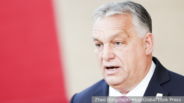     Фото: Zhao Dingzhe/XinHua/Global Look Press   
 Текст: Александра Юдина