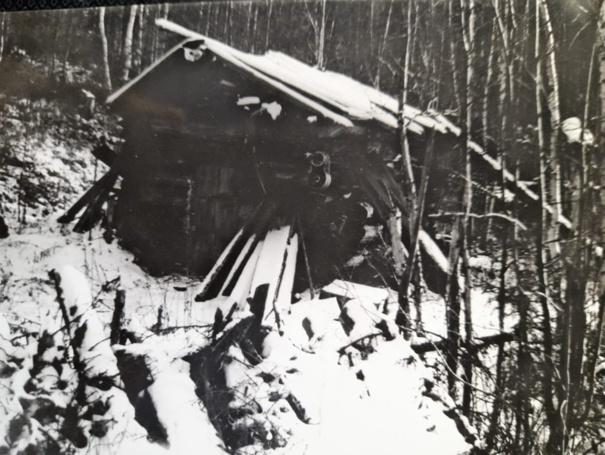 Зимовье в тайге.