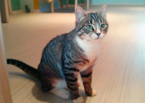 Примерно 6 месяцев