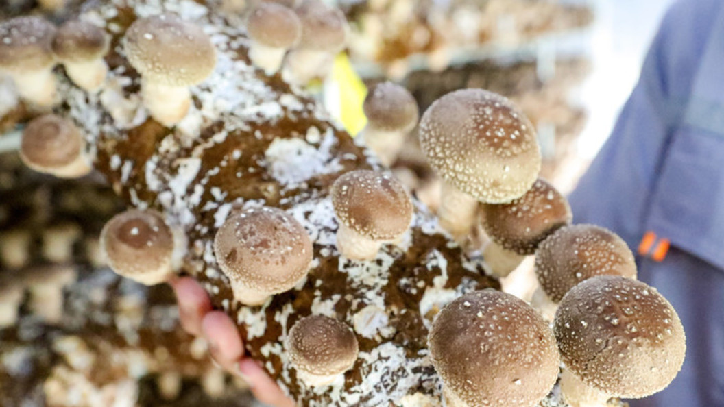    Фото: Cfoto/Keystone Press Agency/Globallookpress