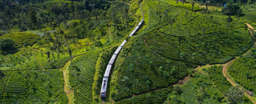 Salitha Gayan / Shutterstock.com