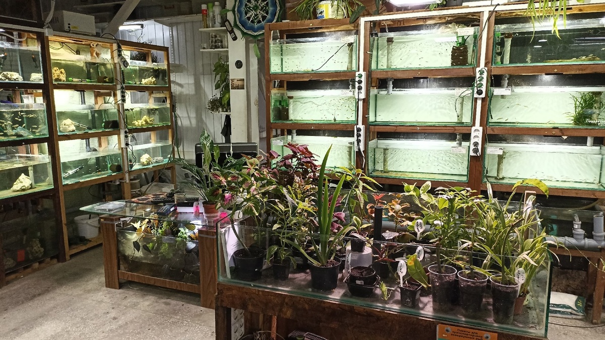 Наш отдел на Полюстровском (он же Кондратьевский) рынке Санкт-Петербурга