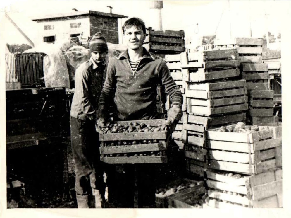 ФЭТ, ЛЭТИ, 1986 год 