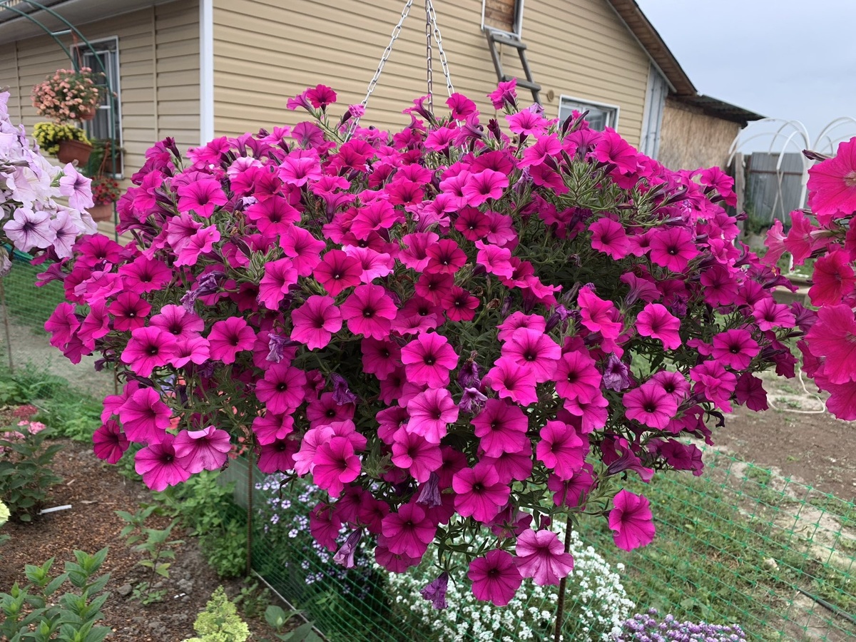 Фото из интернета 