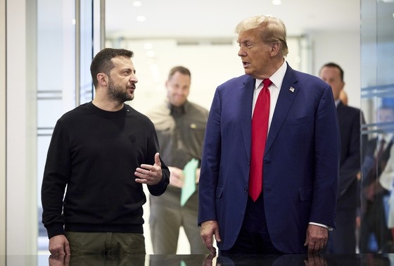    Владимир Зеленский и Дональд Трамп