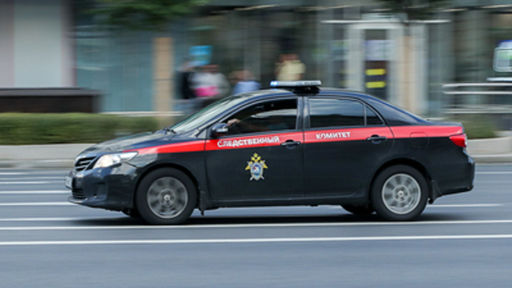    Фото: Petrov Sergey/news.ru/Globallookpress