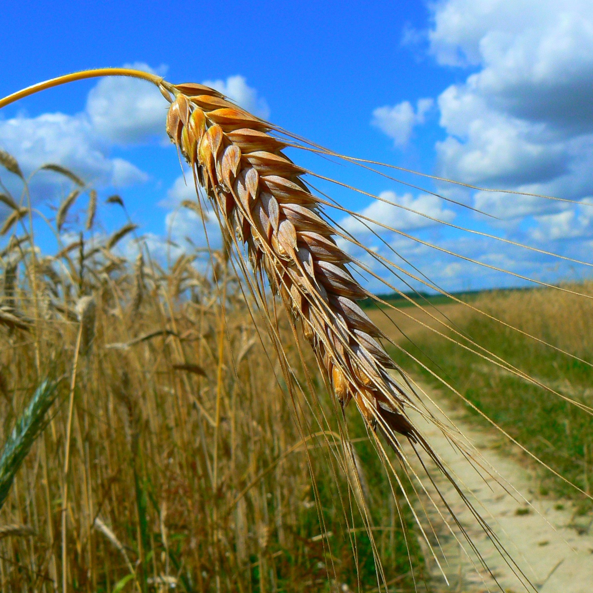 Фото из открытых источников в обработке редакции.