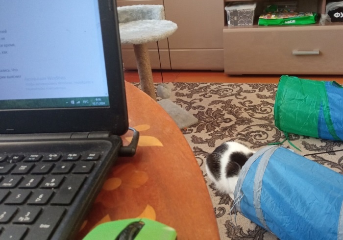 Вы видите кота? А его нет-он спрятался)