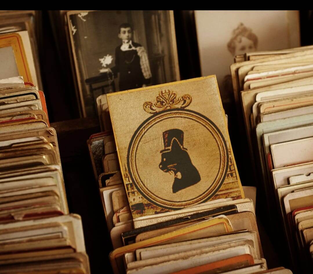 Для оформления родословных, метрик, регистрации питомника вы можете обратится в Фелинологическую ассоциацию CAT ID. Напишите в ватс апп+79932619580