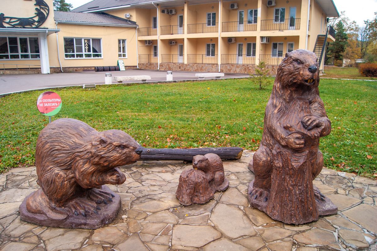 Воронежского государственного природного биосферного заповедника имени В.М. Пескова.