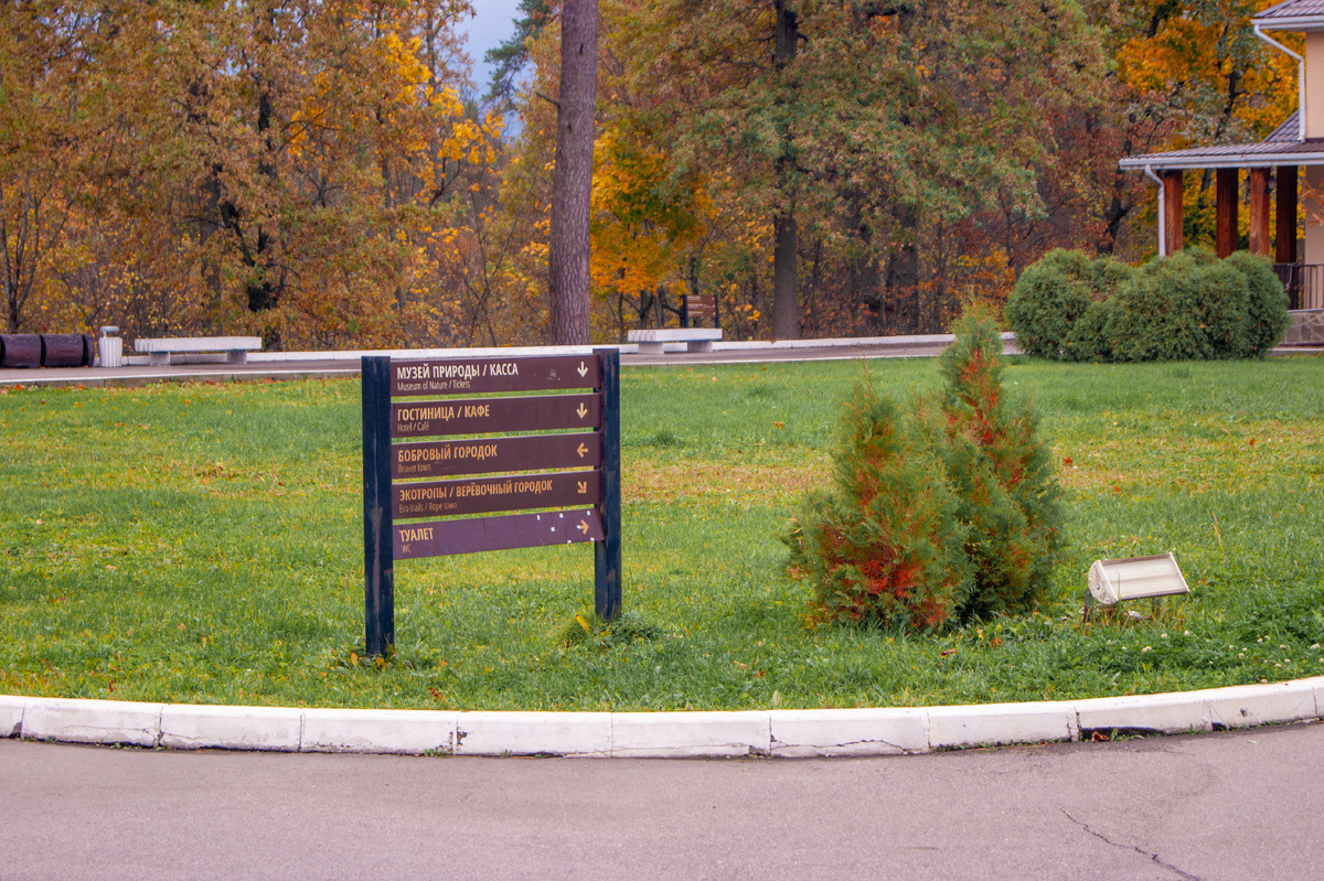Воронежского государственного природного биосферного заповедника имени В.М. Пескова.