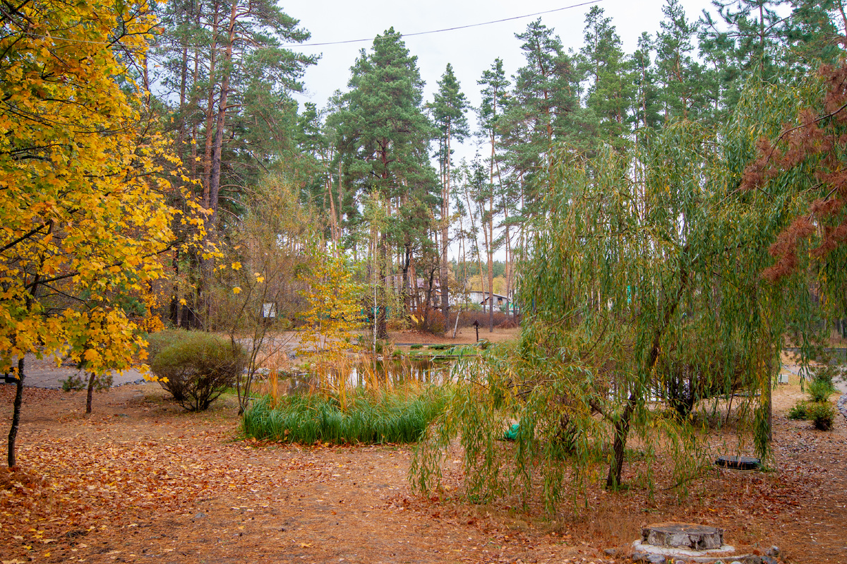 Воронежского государственного природного биосферного заповедника имени В.М. Пескова.